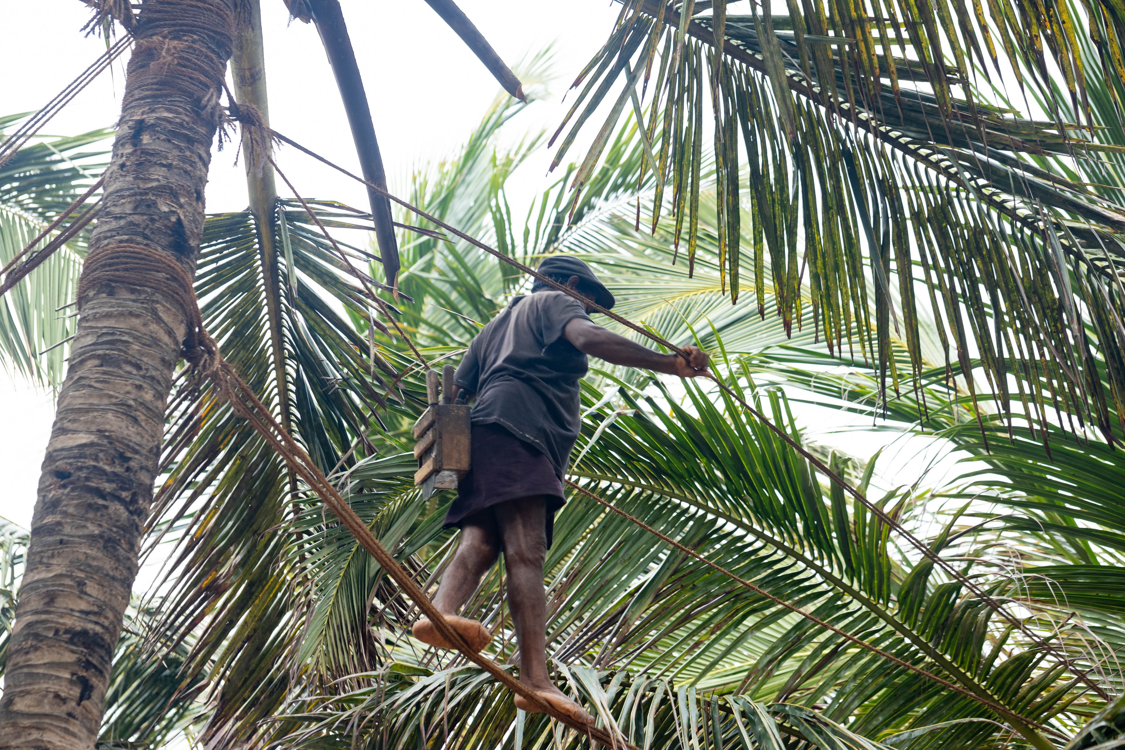 A walk through Galle Fort