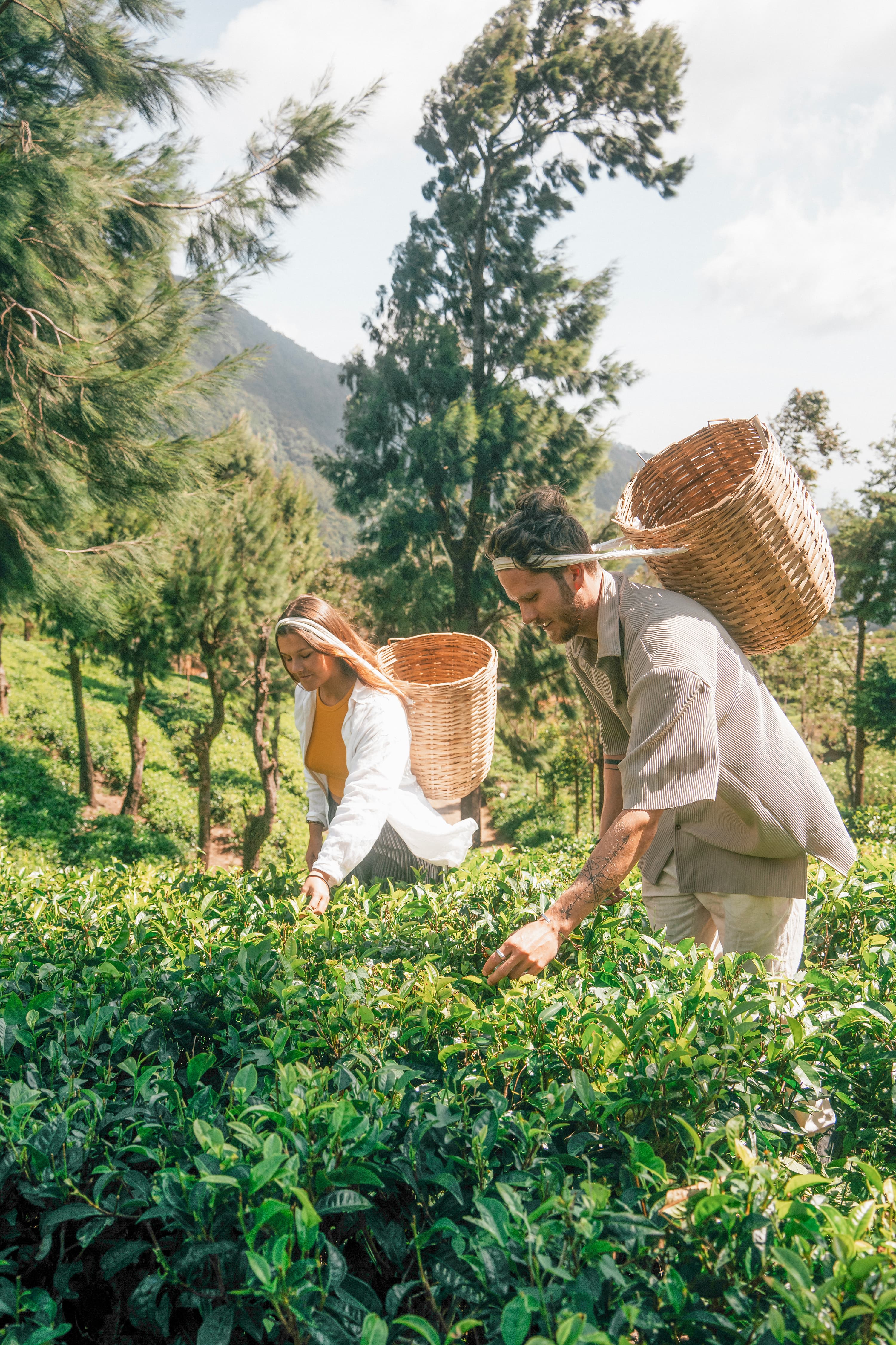 Travellers connecting with Sri Lanka through a tea-country experience