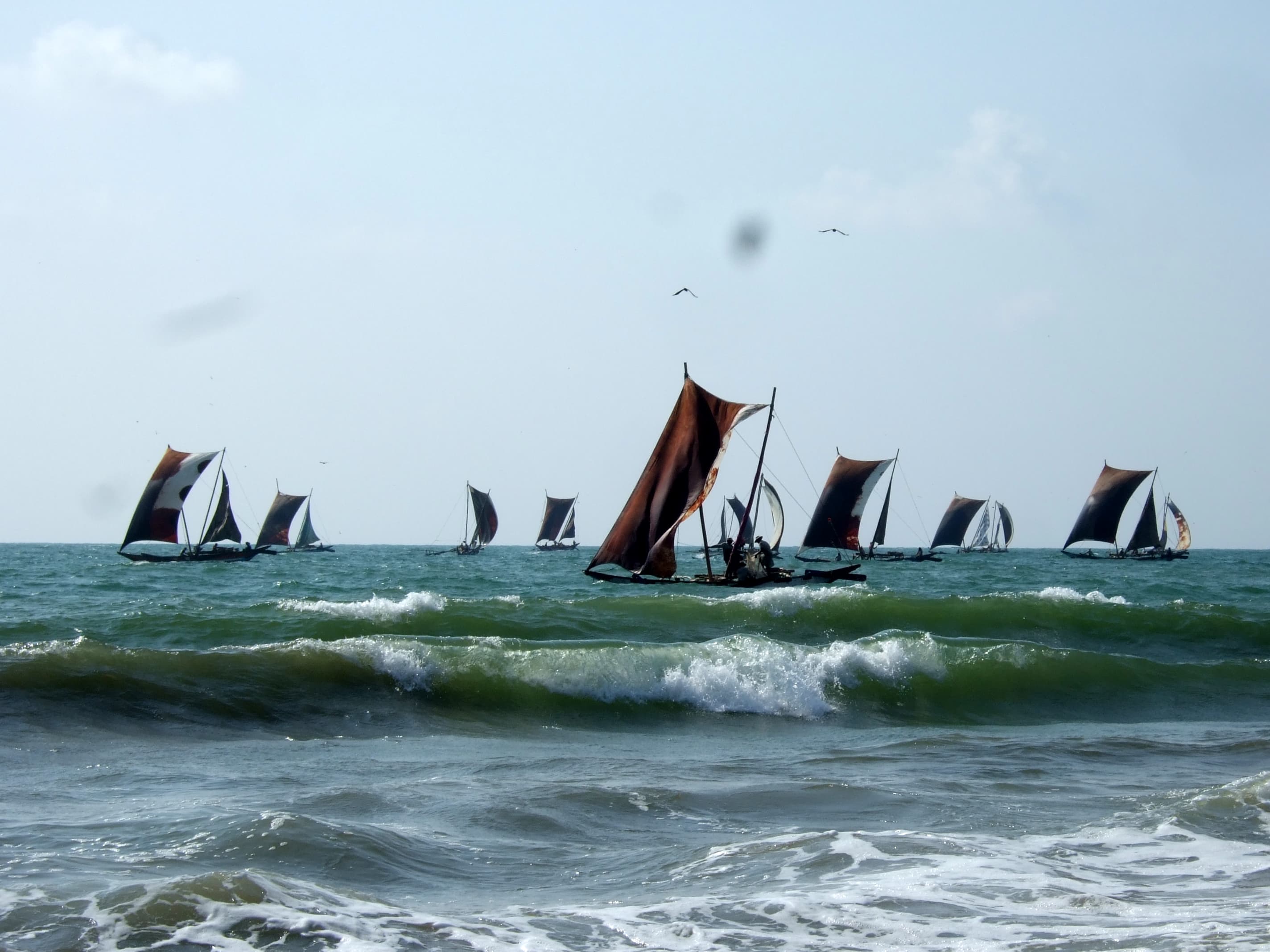 Negombo fishing boats at sunset